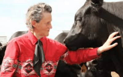 Happy Birthday, Temple Grandin!